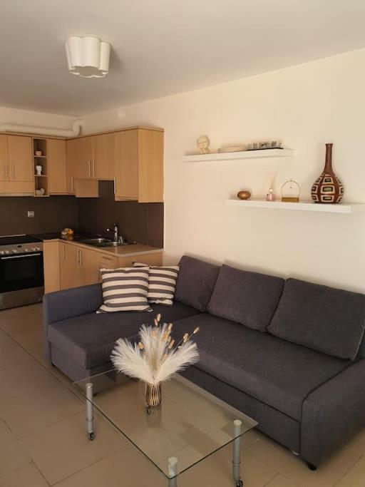 Korais Apartment, Chania Crete Kounoupidhiana Bagian luar foto